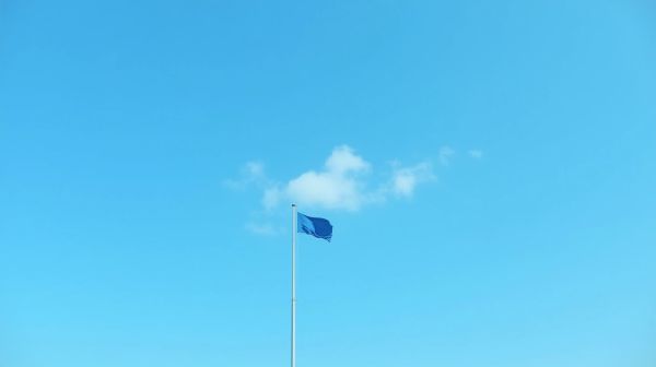 Protégez votre skydôme contre les chutes et intempéries